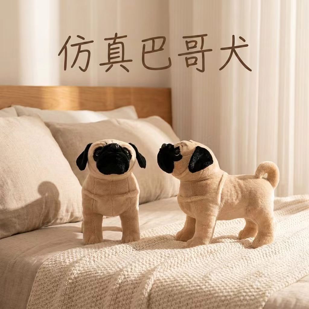 深圳公仔